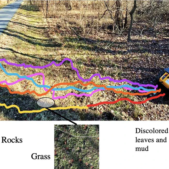 Terrapn: Unstructured terrain navigation using online self-supervised learning